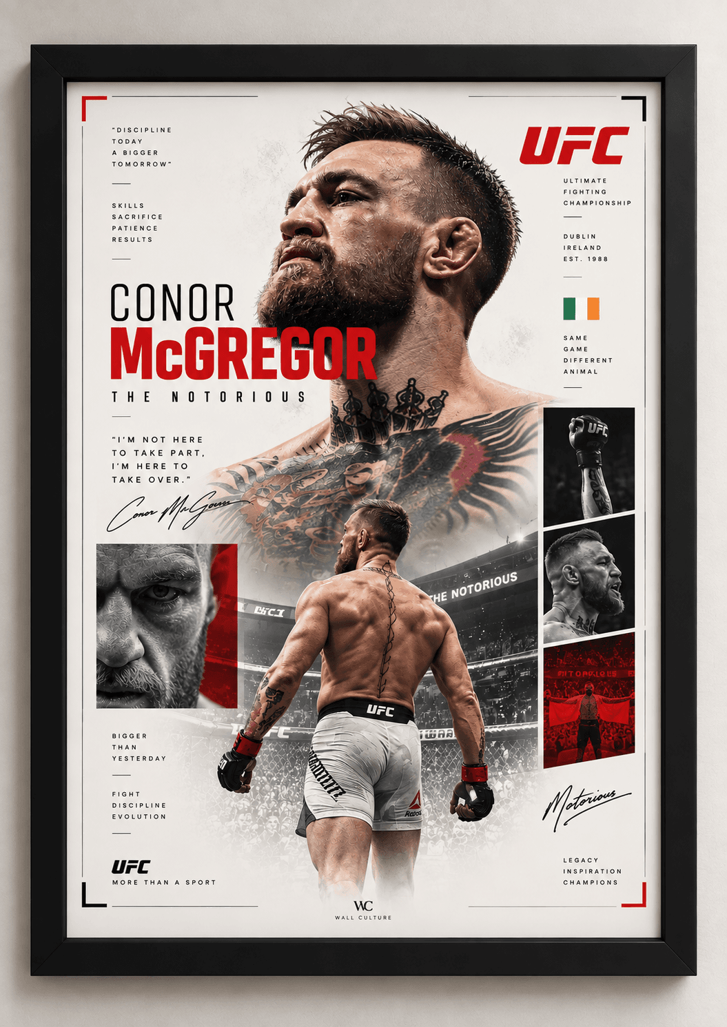 Framed Conor McGregor UFC Notorious tribute poster